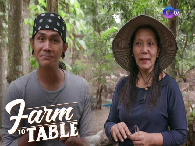 Farm To Table