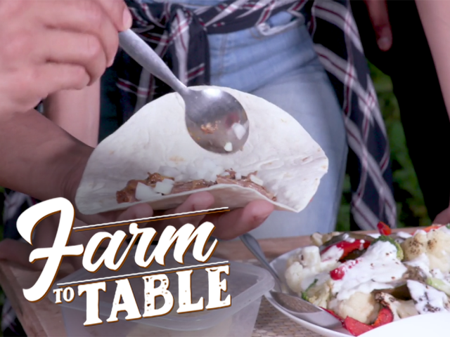 Farm to Table