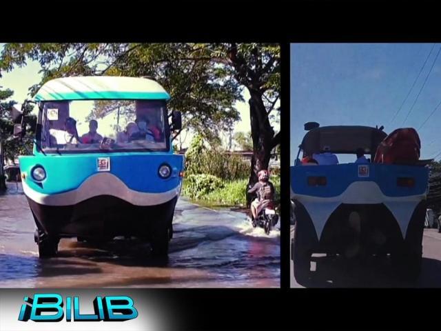 iBilib