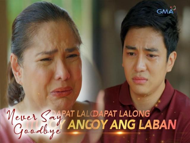 Stories From The Heart Never Say Goodbye