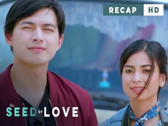 The Seed of Love Recap