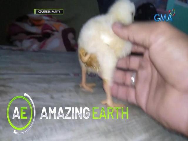 Amazing Earth