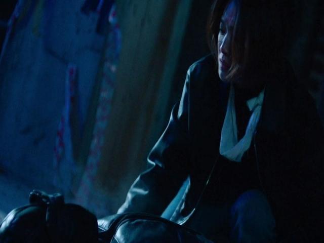 Stealer: The Treasure Keeper