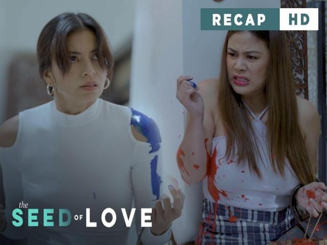 The Seed of Love Weekly Recap
