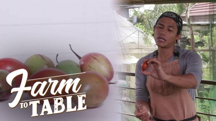Farm To table 