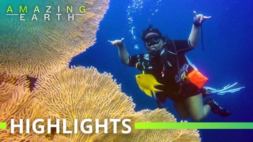 Amazing Earth