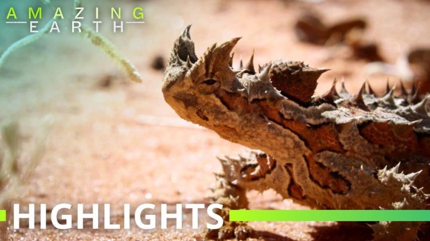 Amazing Earth