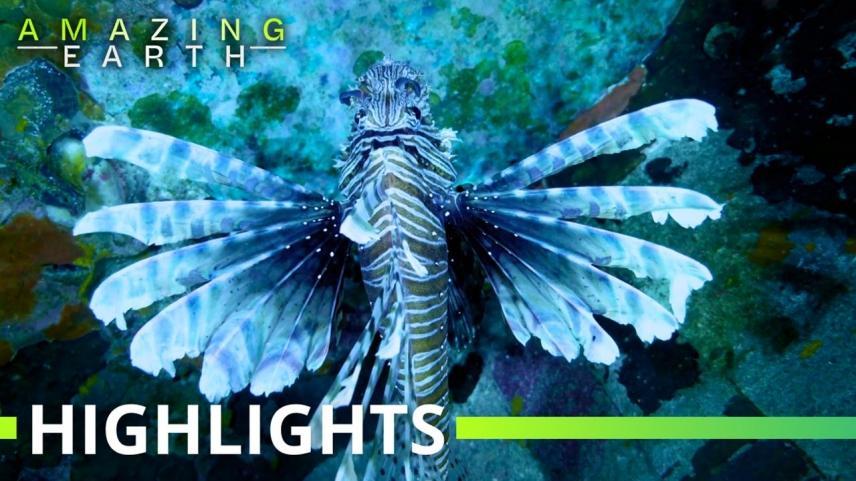 Amazing Earth