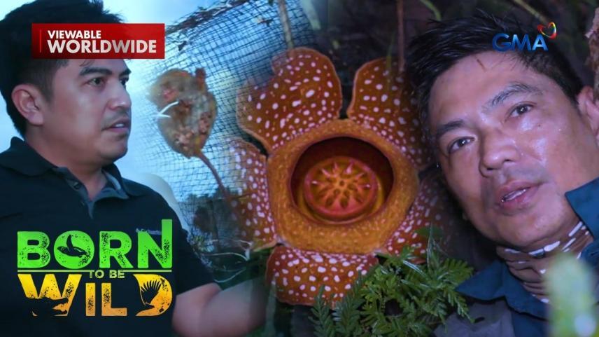 Born to Be Wild Full Episode