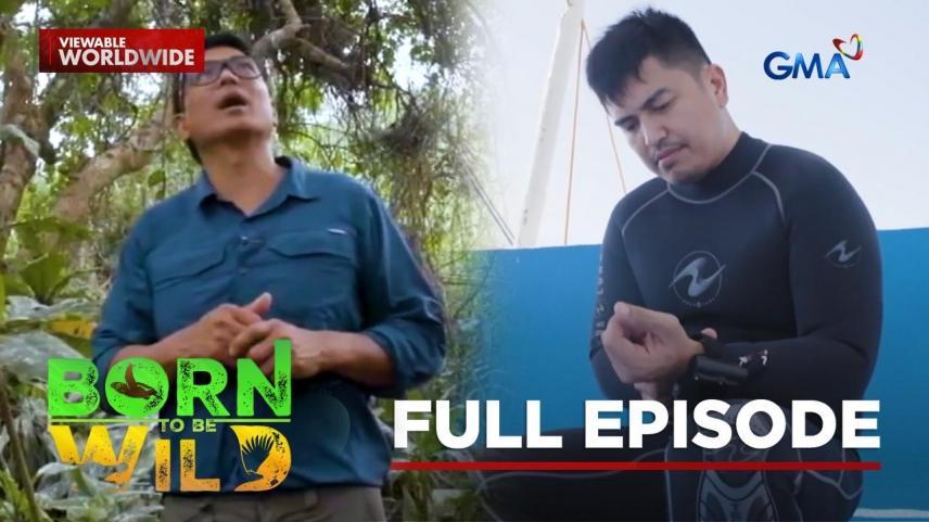 Born to Be Wild Full Episode