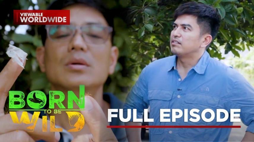 Born to Be Wild Full Episode