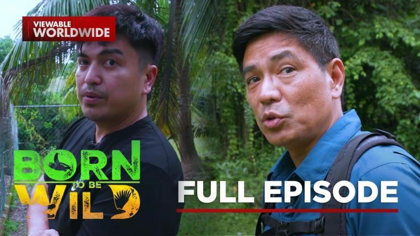 Born to Be Wild Full Episode