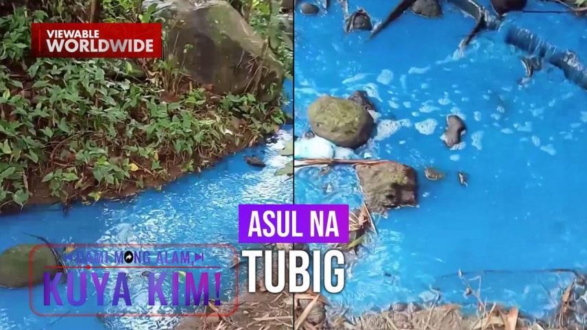 Dami Mong Alam, Kuya Kim!