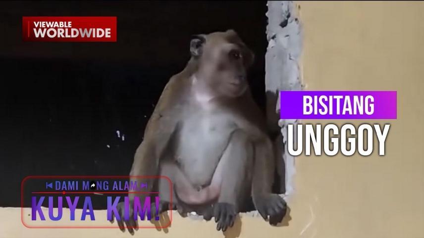 Dami Mong Alam, Kuya Kim
