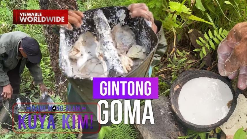 Dami Mong Alam, Kuya Kim!