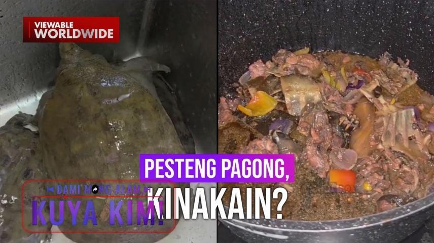 Dami Mong Alam, Kuya Kim!