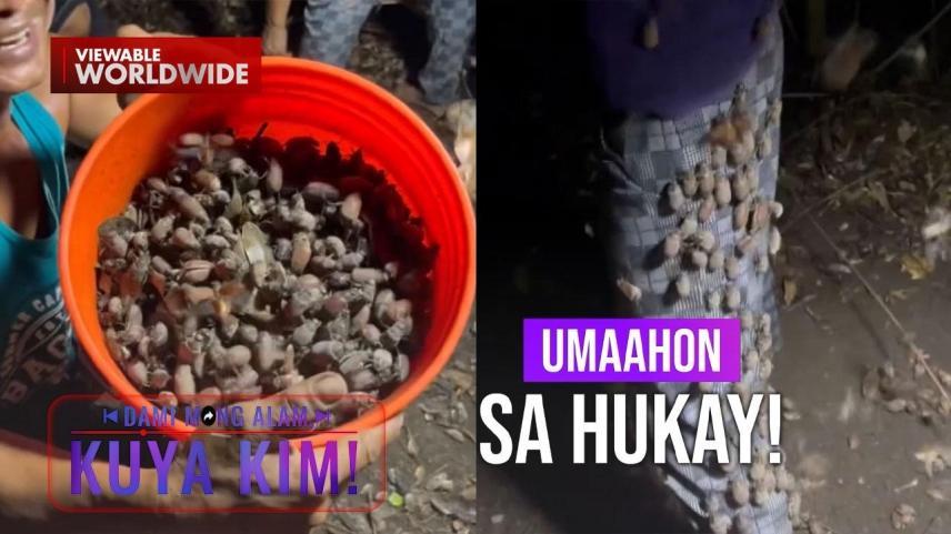Dami Mong Alam, Kuya Kim!