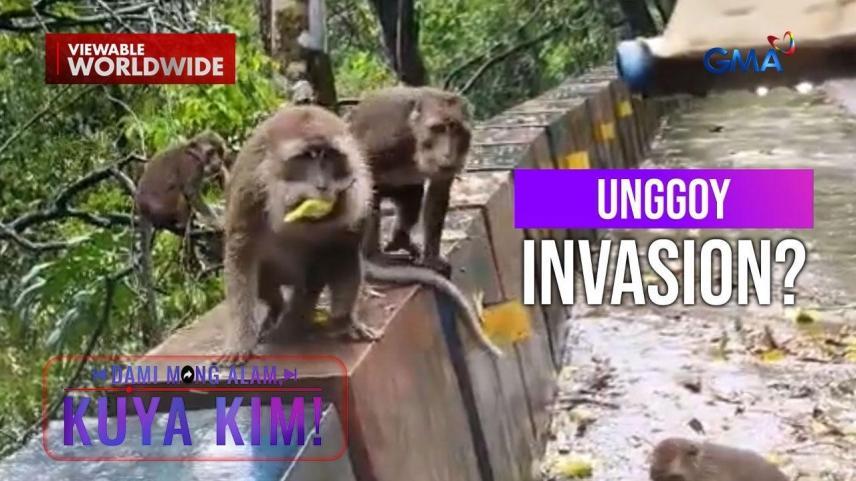 Dami Mong Alam, Kuya Kim!