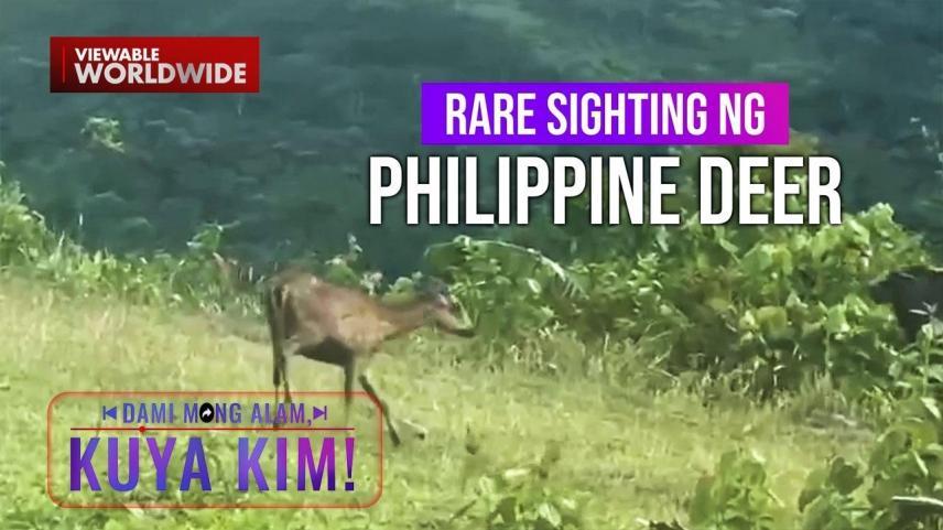 Dami Mong Alam, Kuya Kim!