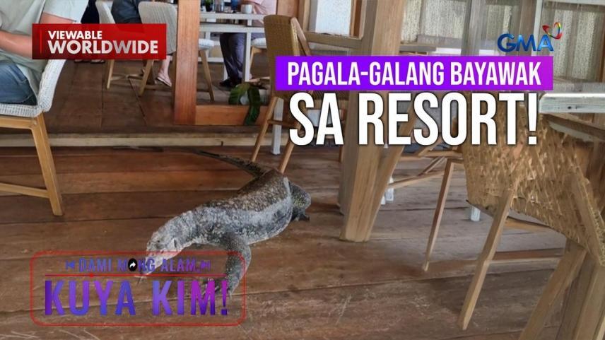 Dami Mong Alam, Kuya Kim!