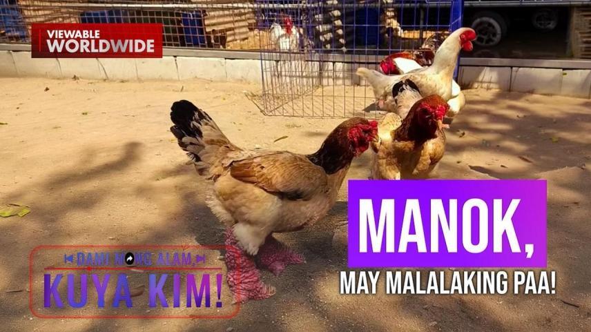 Dami Mong Alam, Kuya Kim!