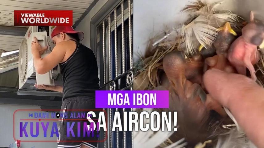 Dami Mong Alam, Kuya Kim!