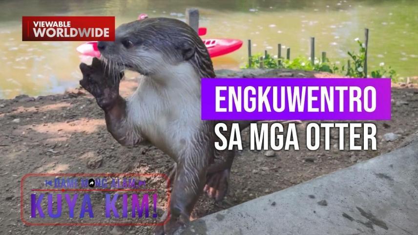 Dami Mong Alam, Kuya Kim!