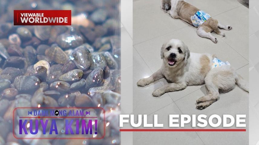 Dami Mong Alam, Kuya Kim!