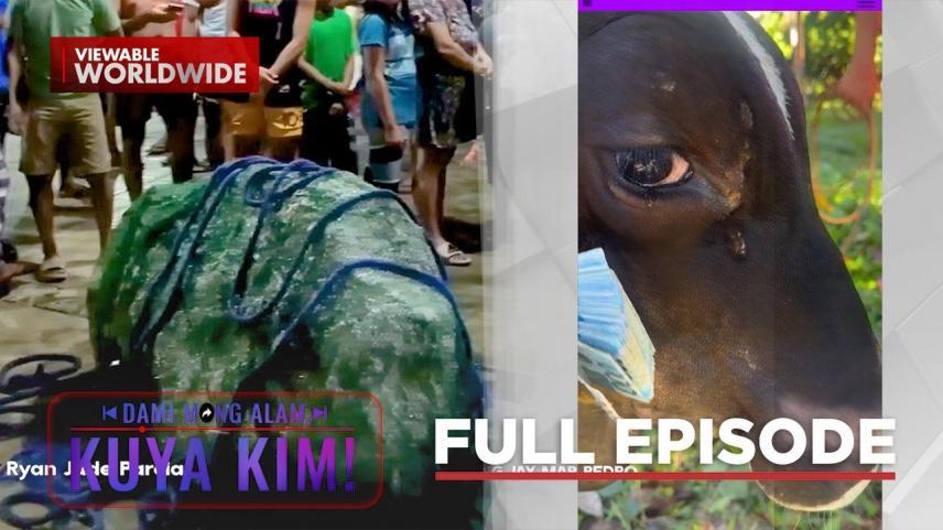 Dami Mong Alam, Kuya Kim!
