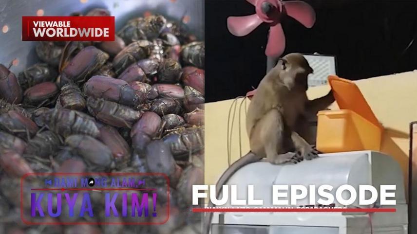 Dami Mong Alam, Kuya Kim