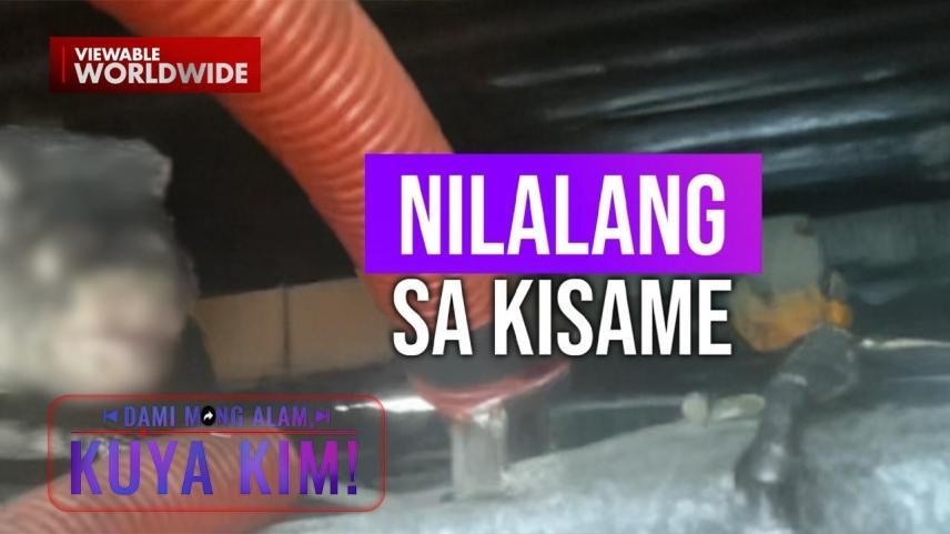 Dami Mong Alam, Kuya Kim! 