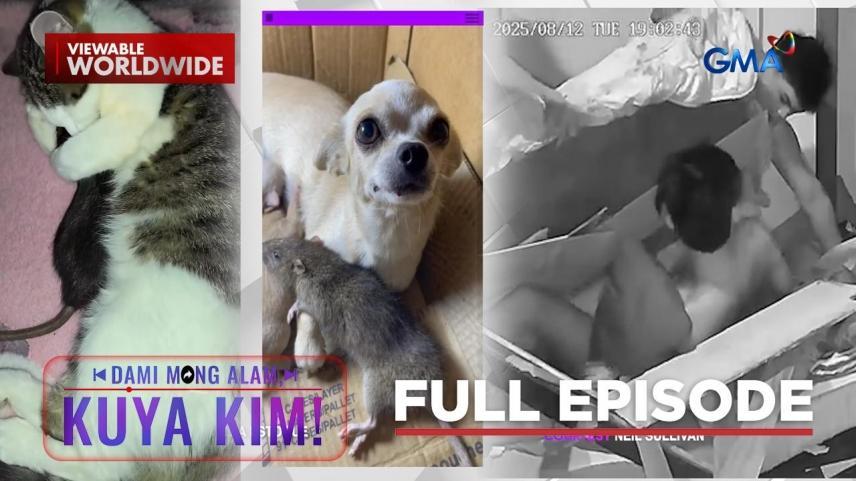 Dami Mong Alam, Kuya Kim!