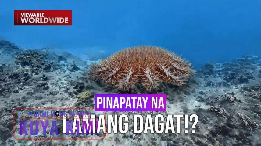 Dami Mong Alam, Kuya Kim!