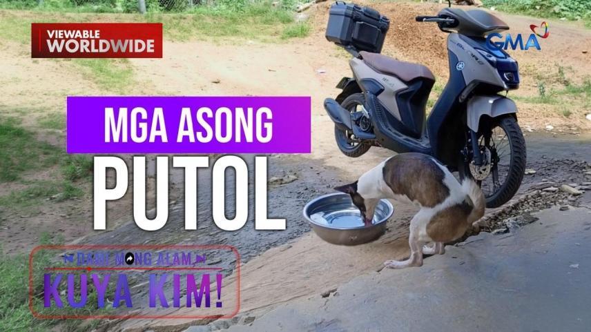 Dami Mong Alam, Kuya Kim!