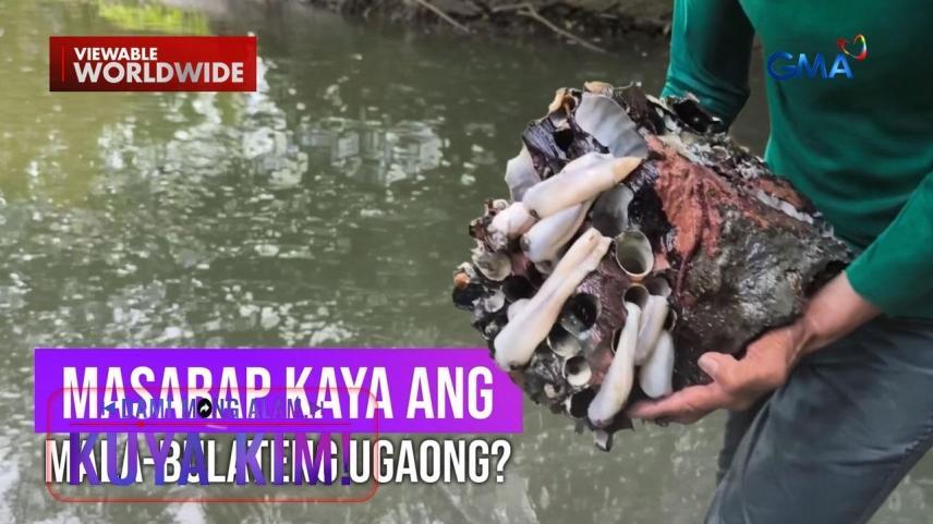 Dami Mong Alam, Kuya Kim!