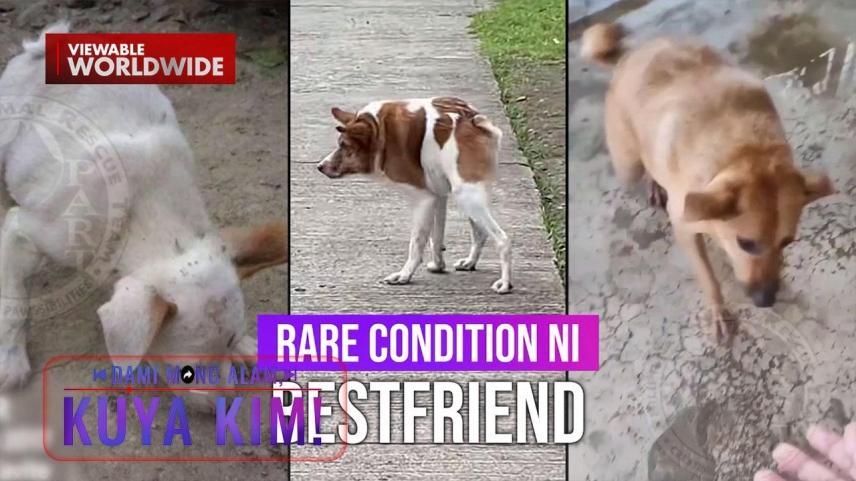 Dami Mong Alam, Kuya Kim!
