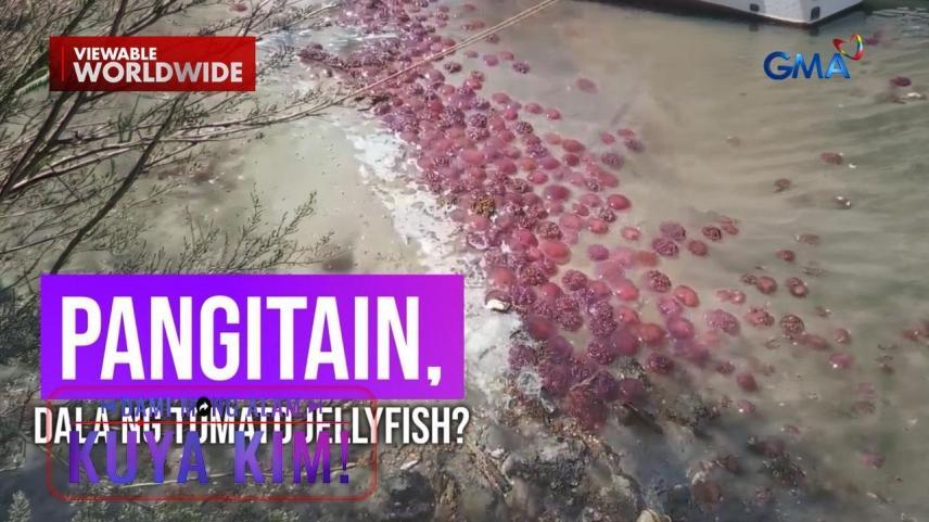 Dami Mong Alam, Kuya Kim!