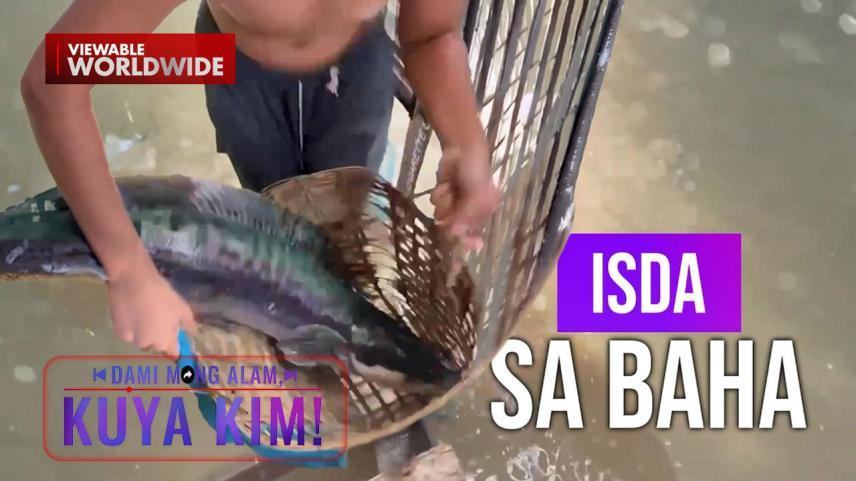 Dami Mong Alam, Kuya Kim!