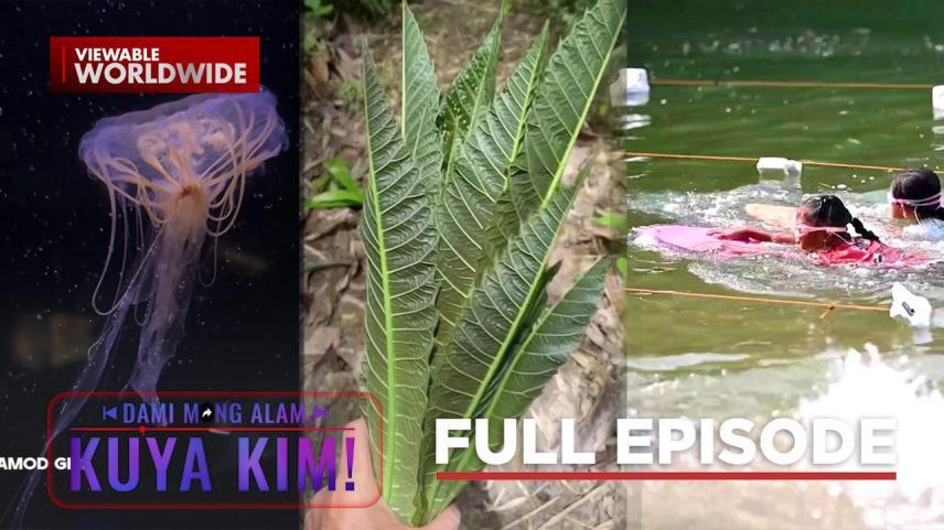 Dami Mong Alam, Kuya Kim!