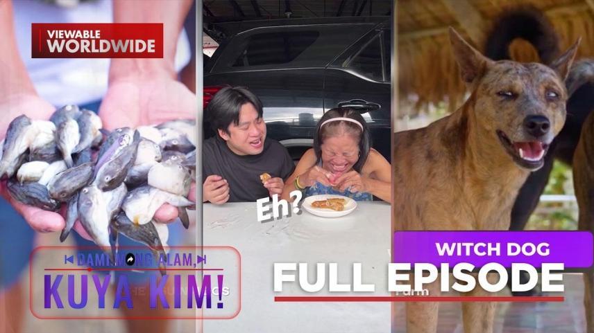 Dami Mong Alam, Kuya Kim!