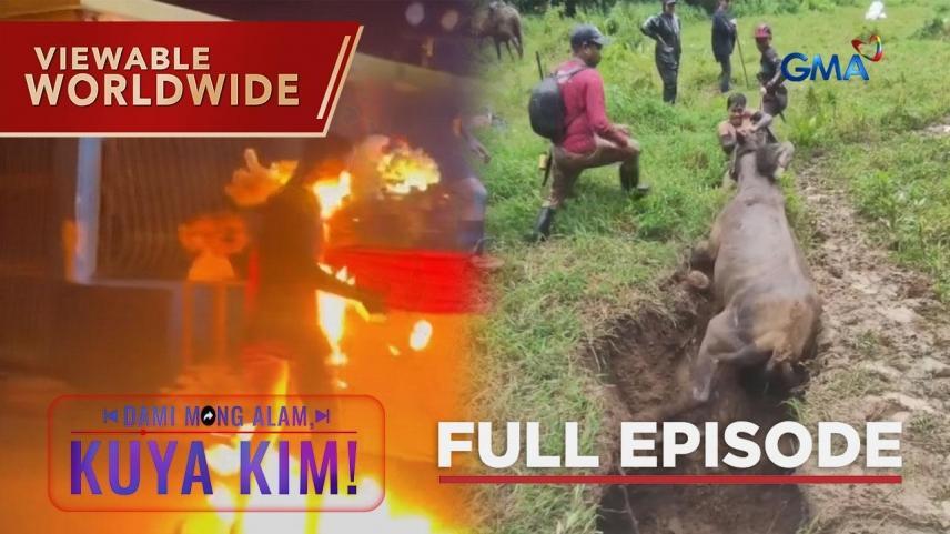 Dami Mong Alam, Kuya Kim!