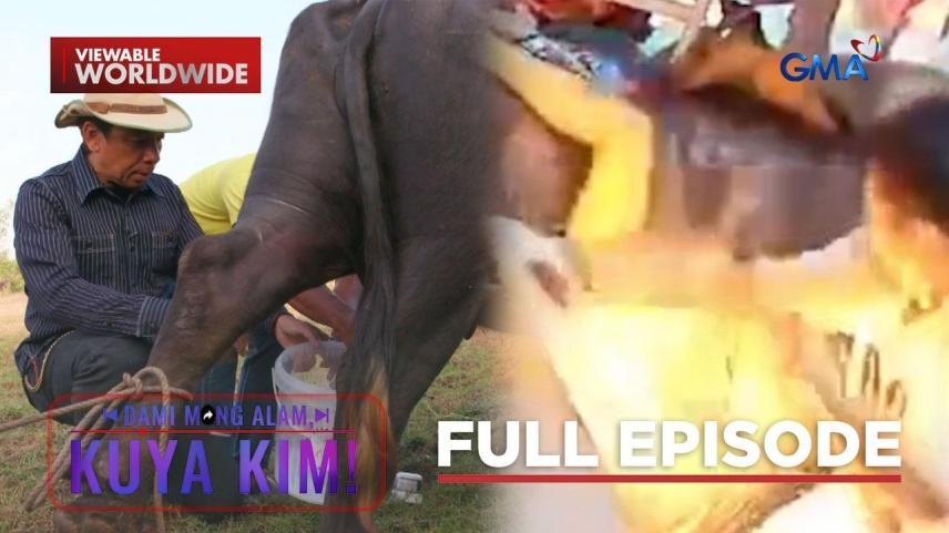 Dami Mong Alam, Kuya Kim!