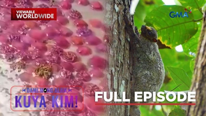 Dami Mong Alam, Kuya Kim!