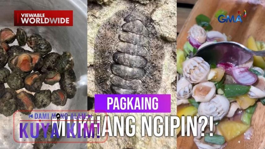 Dami Mong Alam, Kuya Kim!