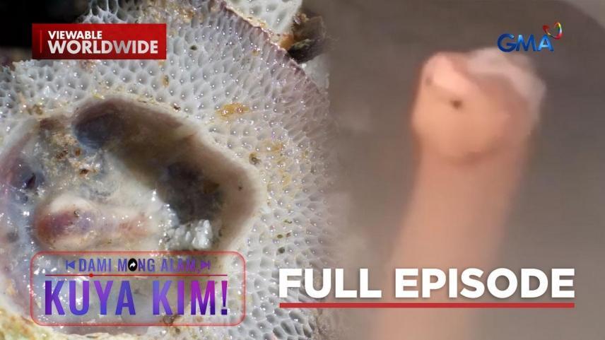 Dami Mong Alam, Kuya Kim!