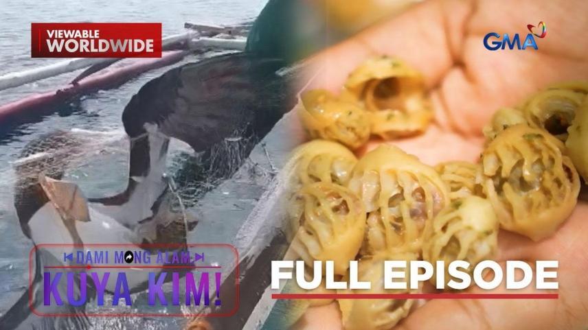 Dami Mong Alam, Kuya Kim!