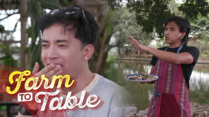 Farm To Table