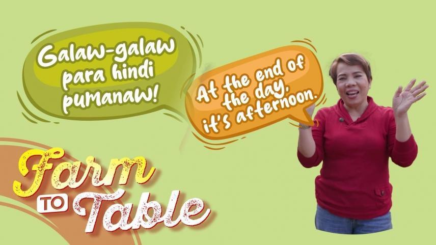 Farm To Table 