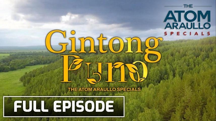 'Gintong Puno' 