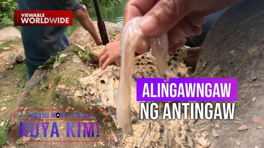 Dami Mong Alam, Kuya Kim!